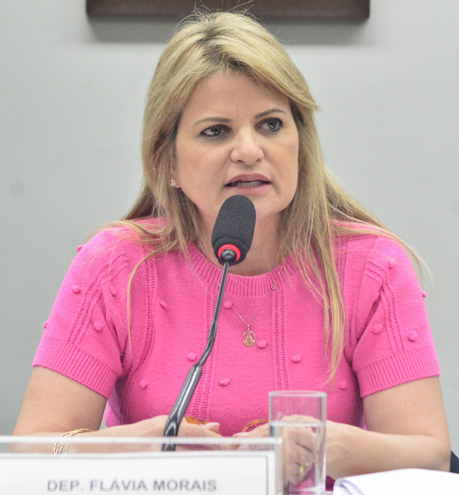 Deputada Flávia Morais (PDT-GO)