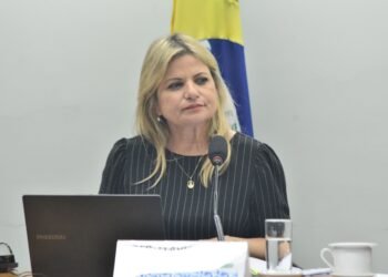 Aprovado substitutivo de Flávia Morais ao projeto para melhorar atendimento da política assistência social no Brasil