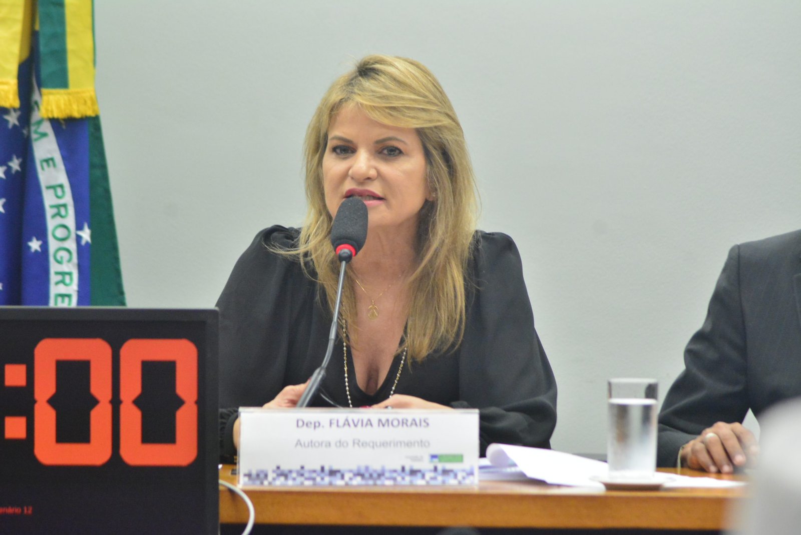 Comissão aprova parecer de Flávia Morais para incluir capacitação de servidores públicos como diretriz da Lei Maria da Penha