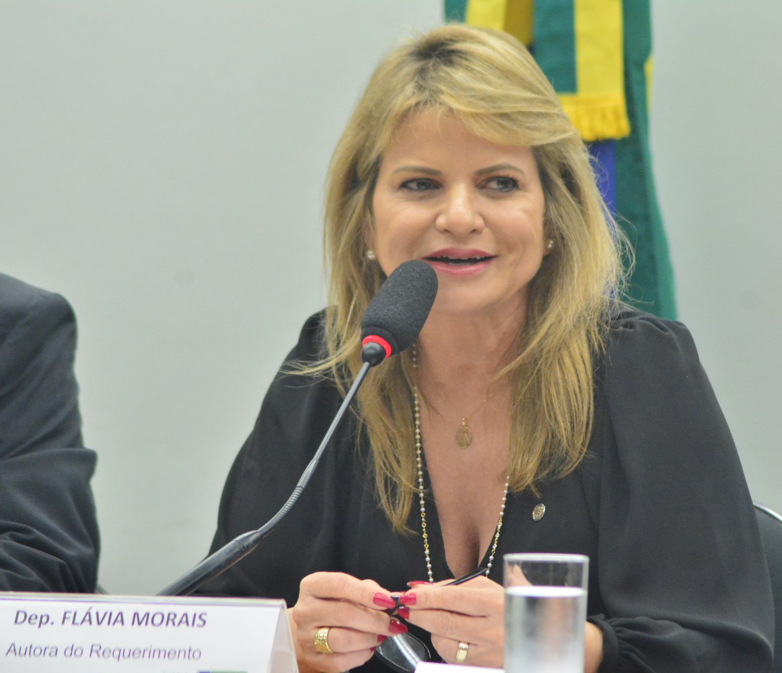 Texto de Flávia Morais que dispõe sobre atividades de tecnólogos é aprovado na Comissão de Trabalho