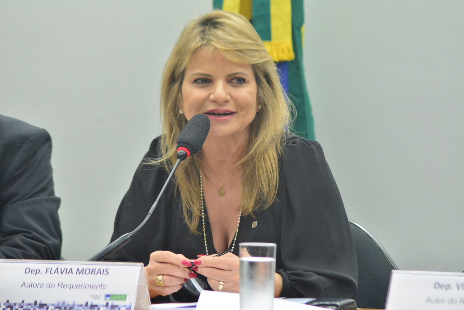 Aprovado requerimento de Flávia Morais para visita técnica à PUC do Rio Grande do Sul