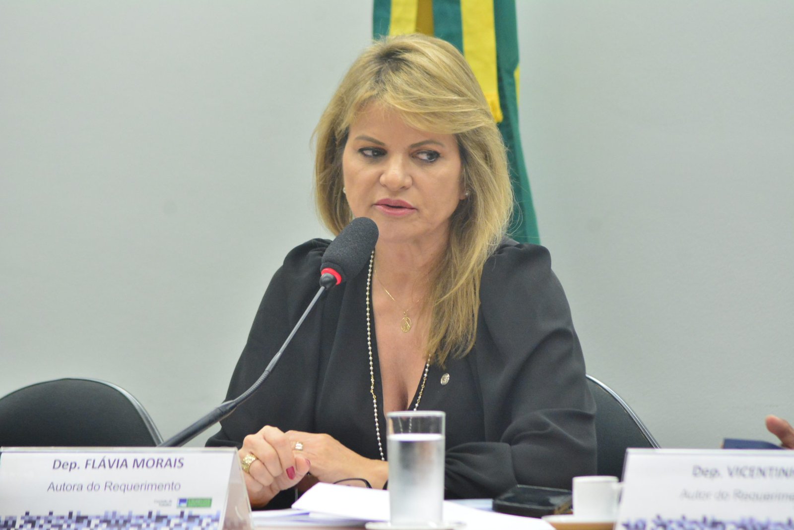 Flávia Morais preside audiência pública sobre a regulamentação da atividade dos trabalhadores de aplicativos