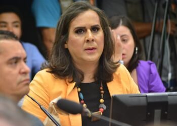 Projeto corta benefícios financeiros de responsáveis por queimada irregular da vegetação