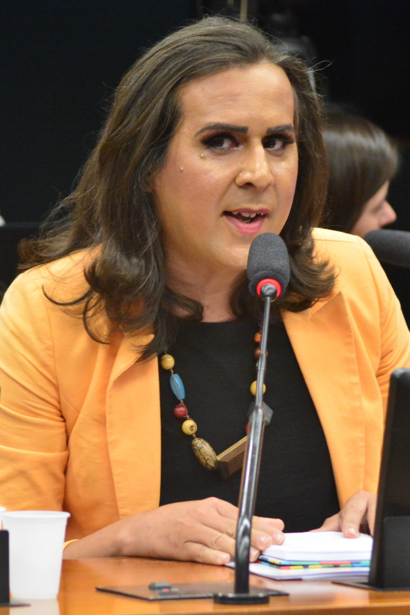 Deputada Duda Salabert (PDT-MG)