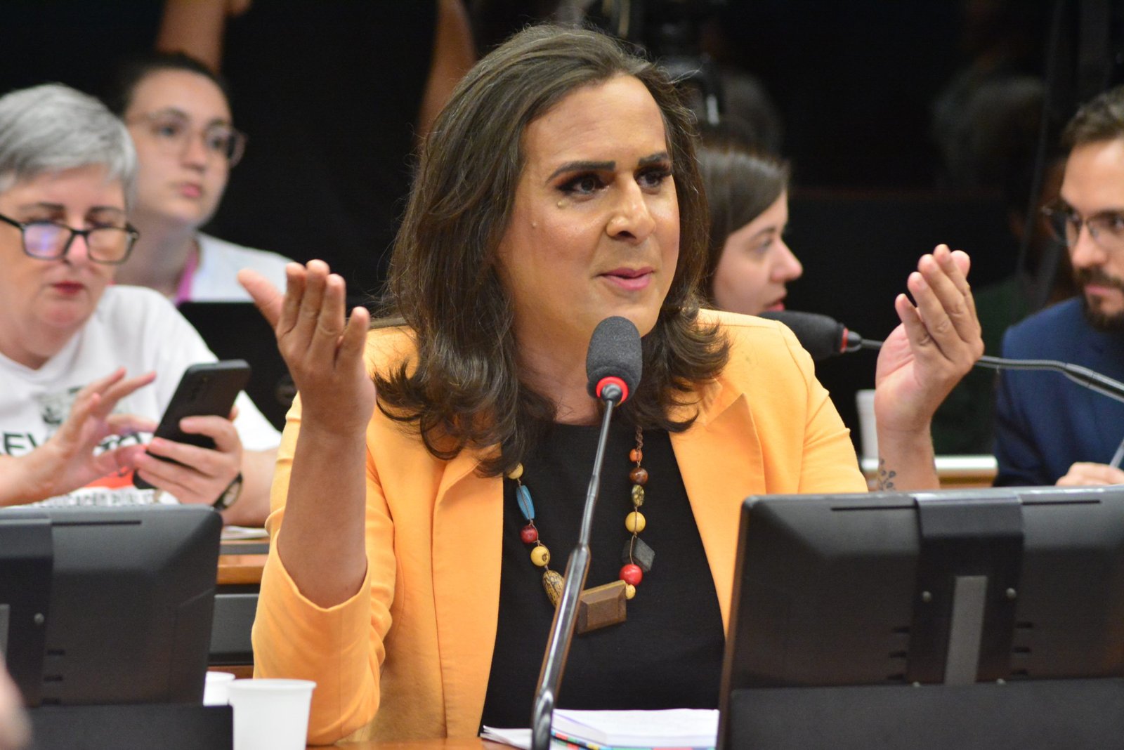 Duda Salabert sugere a ministro inclusão de pauta socioambiental na programação da Agência Brasil