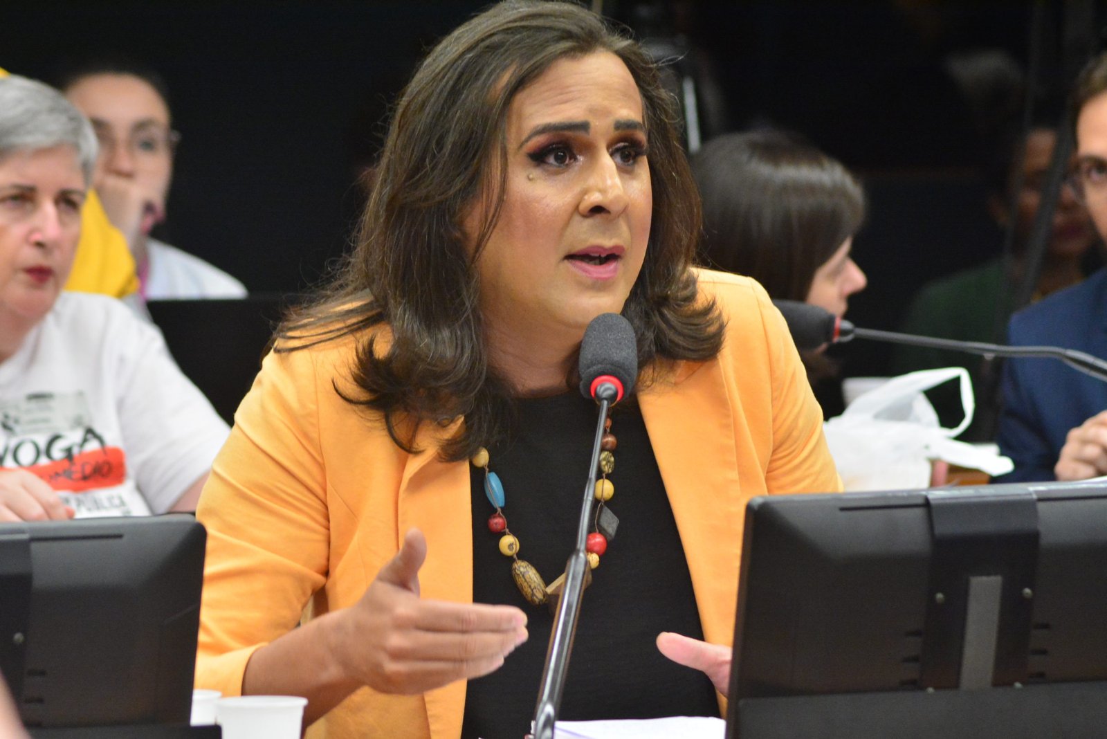 Duda Salabert vai discursar em sessão solene em homenagem aos mortos no rompimento da barragem em Brumadinho, MG