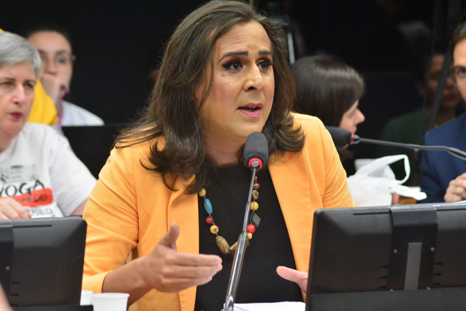 Duda Salabert propõe debate com  especialistas sobre “energias renováveis no contexto de crise climática mundial”