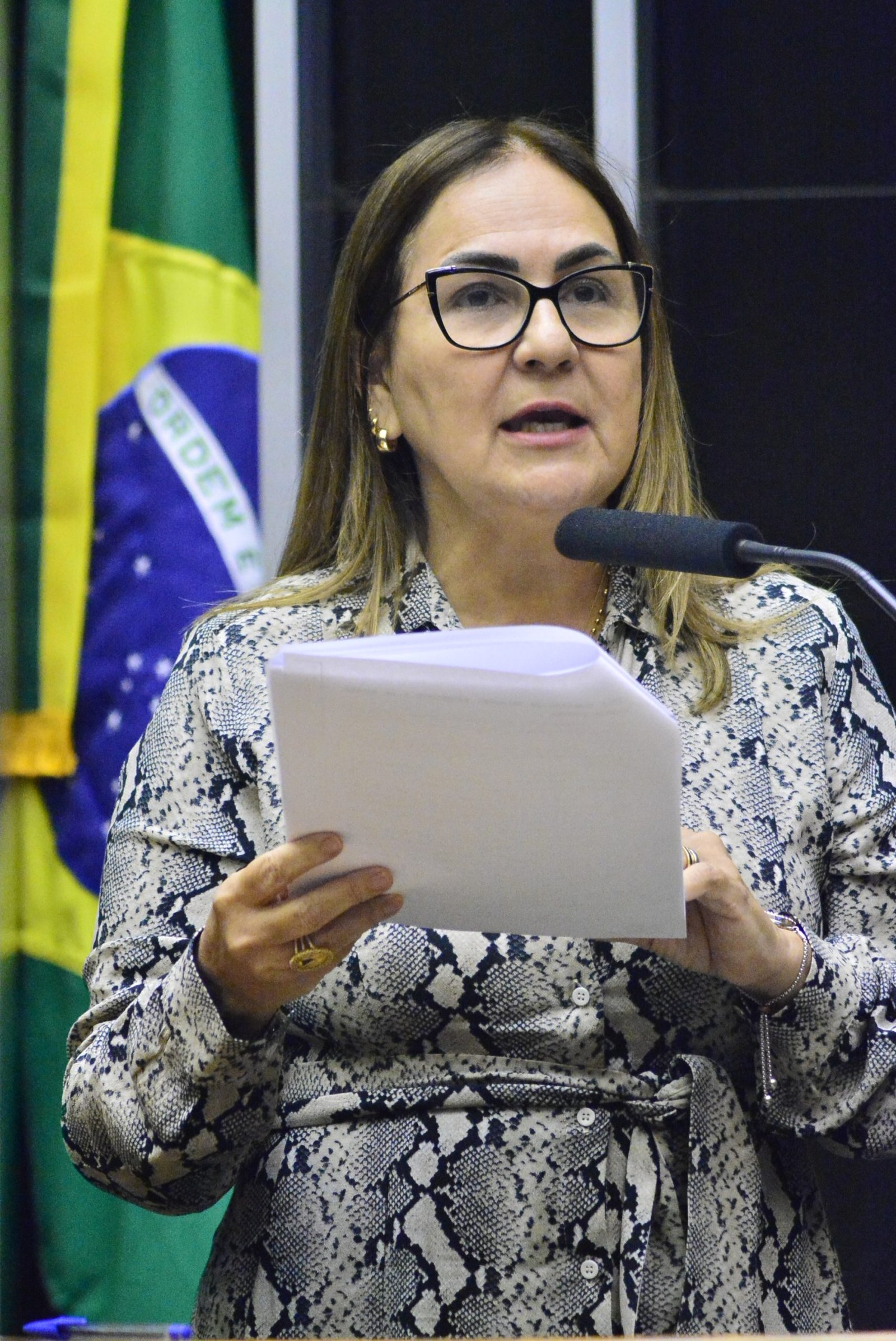 Deputada Professora Goreth (PDT-AP)