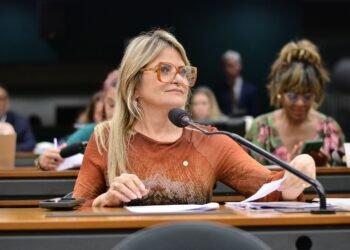 Comissão aprova parecer de Flávia Morais sobre a impenhorabilidade de veículo da pessoa com deficiência