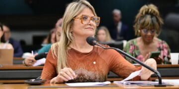 Comissão aprova parecer de Flávia Morais sobre a impenhorabilidade de veículo da pessoa com deficiência