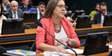 Comissão aprova parecer favorável de Duda Salabert com incentivos à economia verde