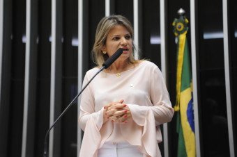 Câmara aprova despacho gratuito de carrinho de bebê em aeronaves