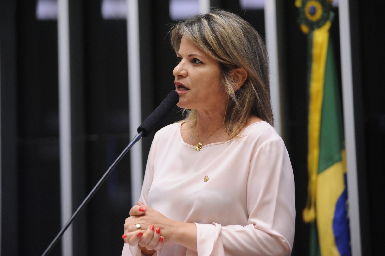 Seguridade aprova texto de Flávia Morais para assegurar condição de dependente a filho ou irmão com deficiência moderada