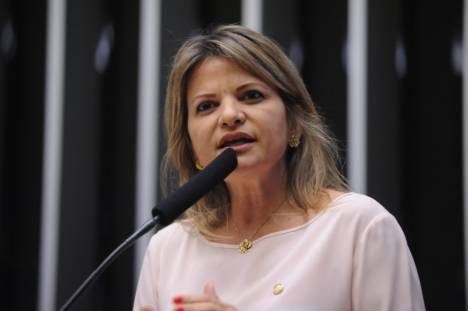 Defesa da Mulher aprova parecer de Flávia Morais para alterar o ECA