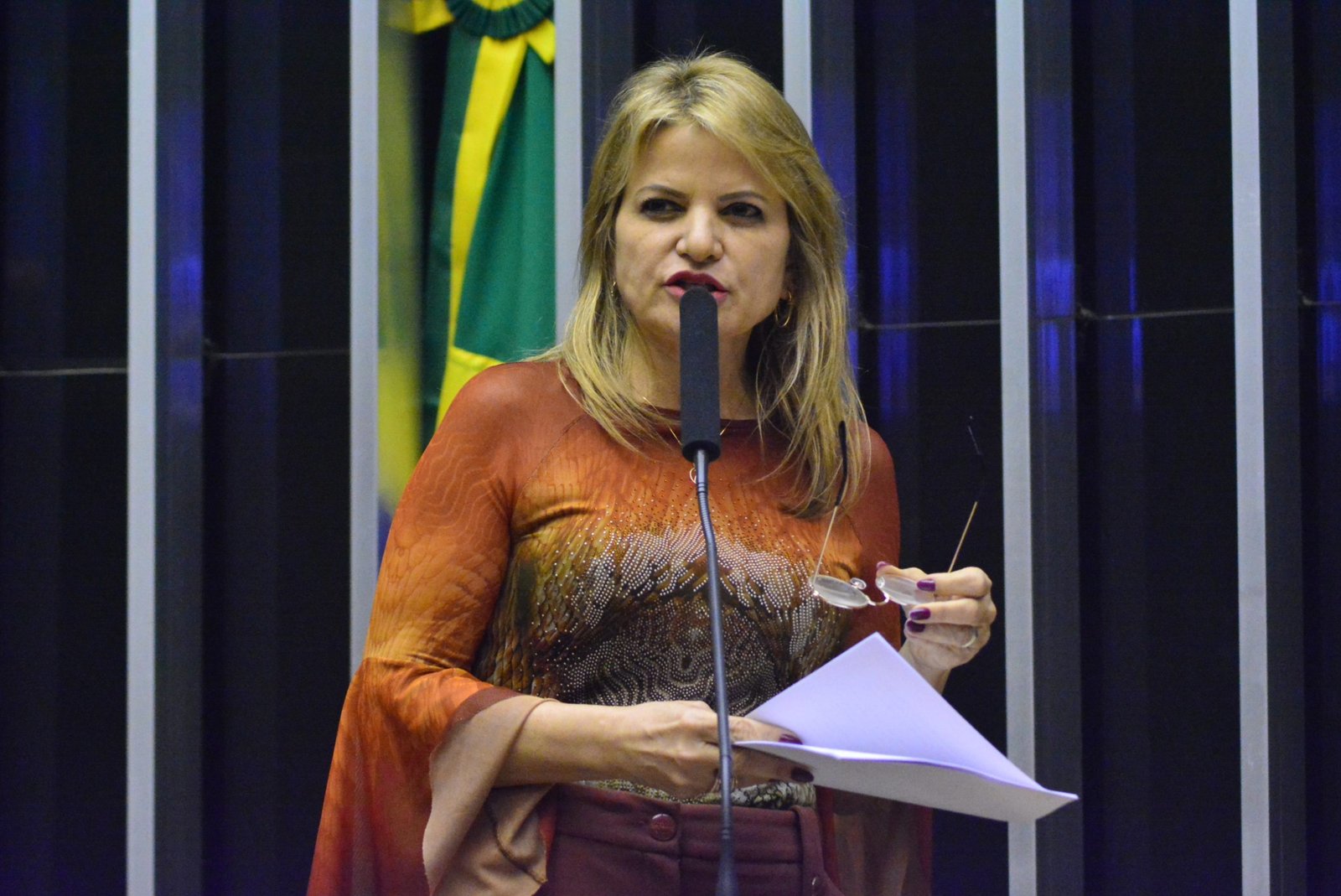 Aprovado parecer de Flávia Morais para criar o programa de inclusão digital ao idoso com recursos do Fust