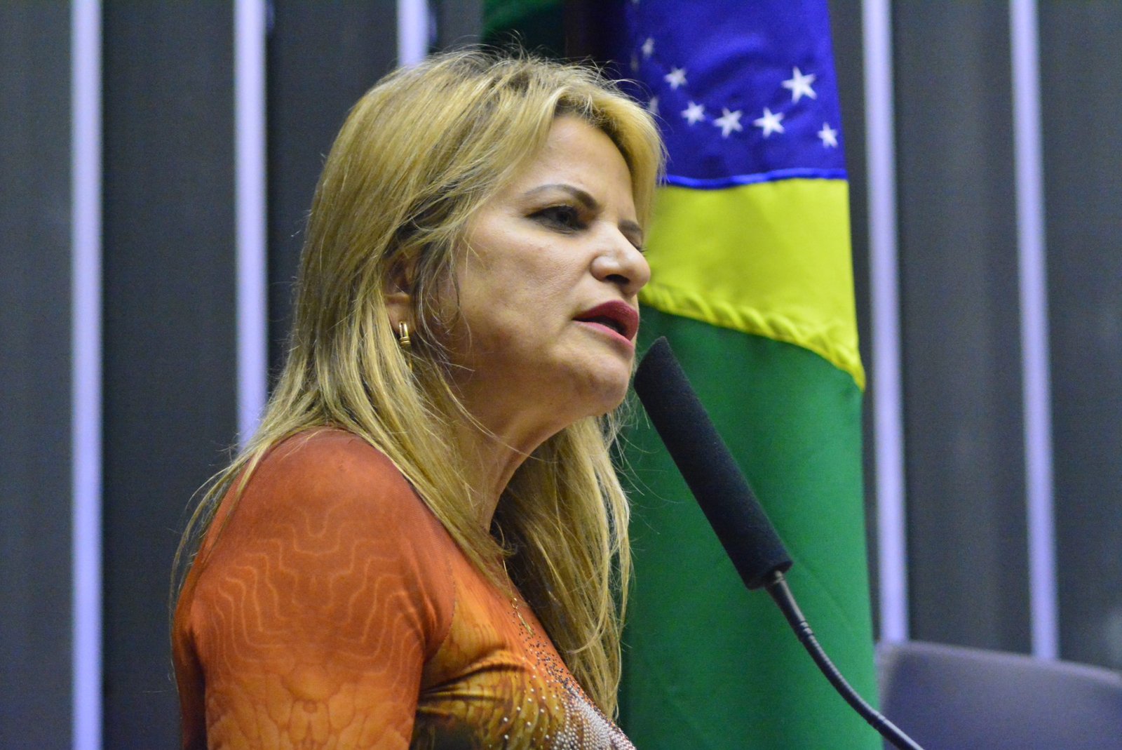 Aprovado projeto de Flávia Morais que prevê divulgação ampla do direito de reconstrução mamária pelo SUS