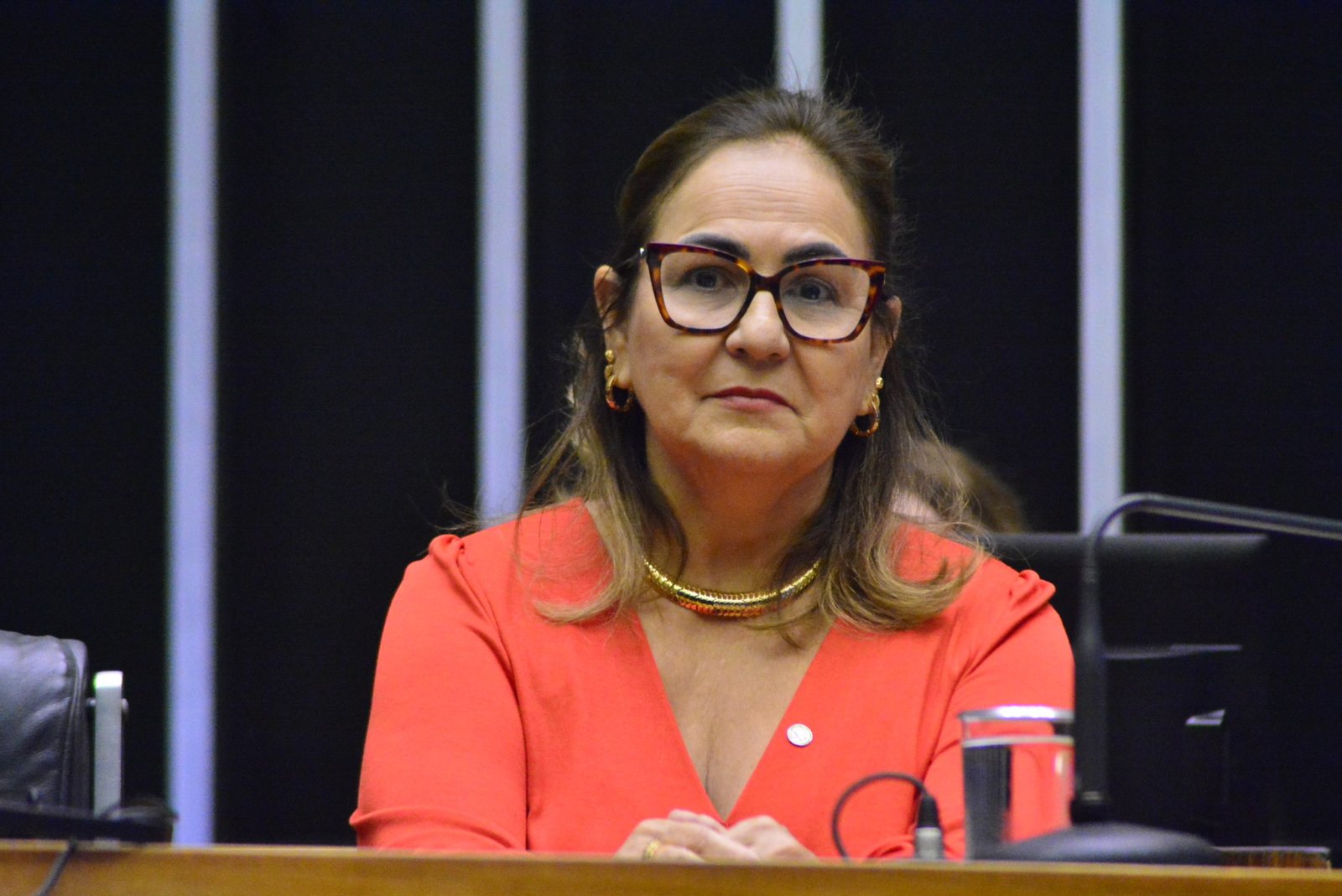 Professora Goreth é coautora do projeto que amplia serviços de psicologia e serviço social na rede pública de ensino