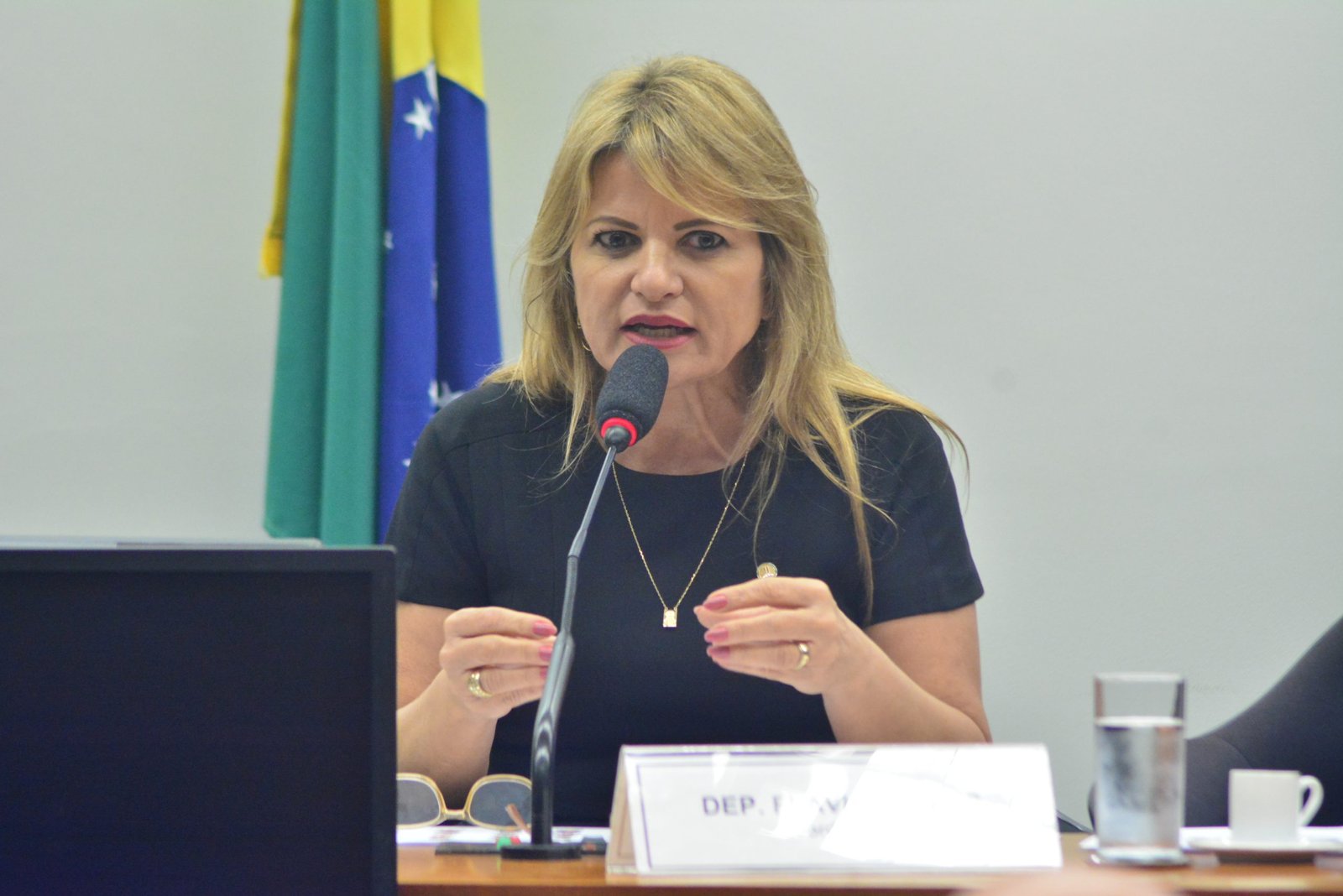 A pedido de Flávia Morais, secretária de Cuidados e Família apresenta planos da pasta