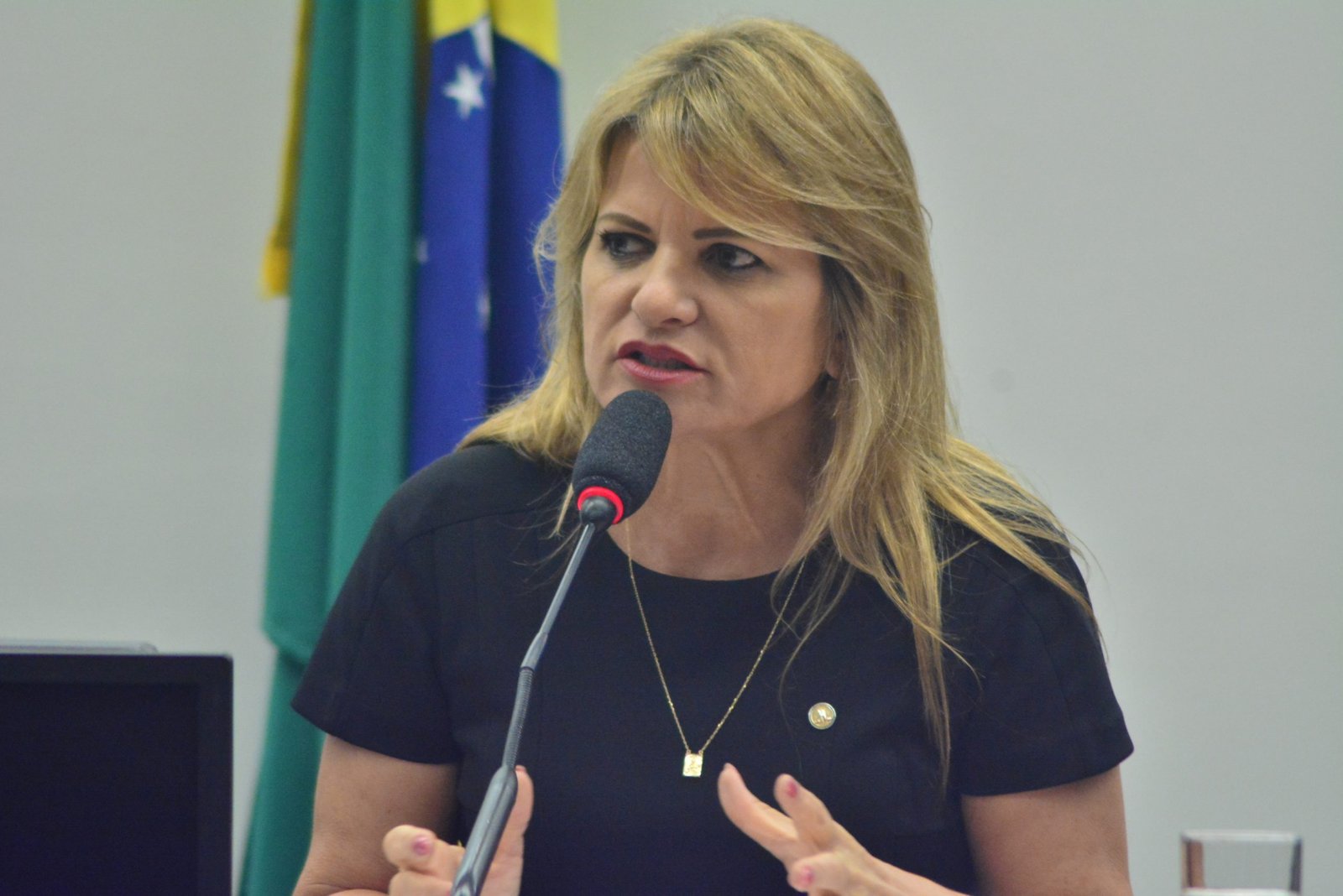Entidade indicada por Flávia Morais vai receber o Prêmio Dr. Pinotti – Hospital Amigo da Mulher 2023