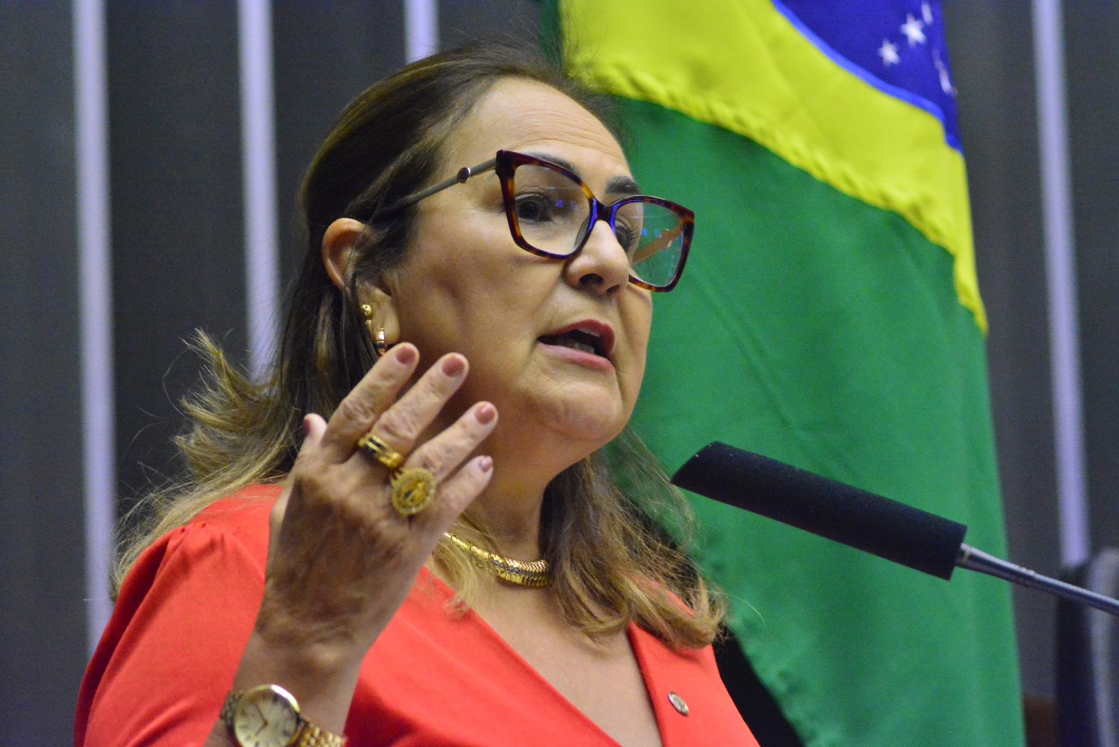 Seminário proposto por Professora Goreth vai debater custos na logística de políticas públicas desenvolvidas na Amazônia