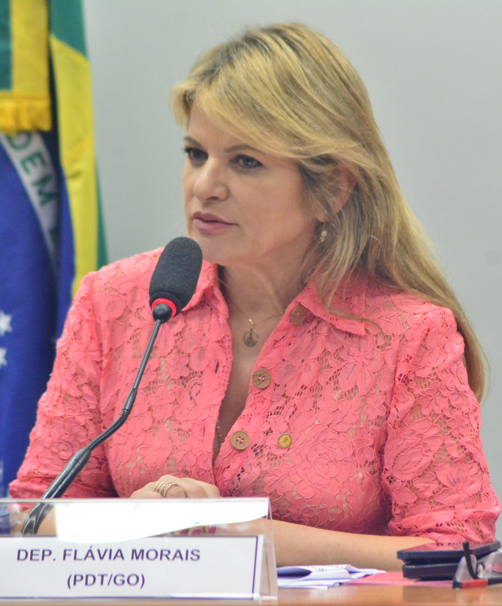 Deputada Flávia Morais (PDT-GO)