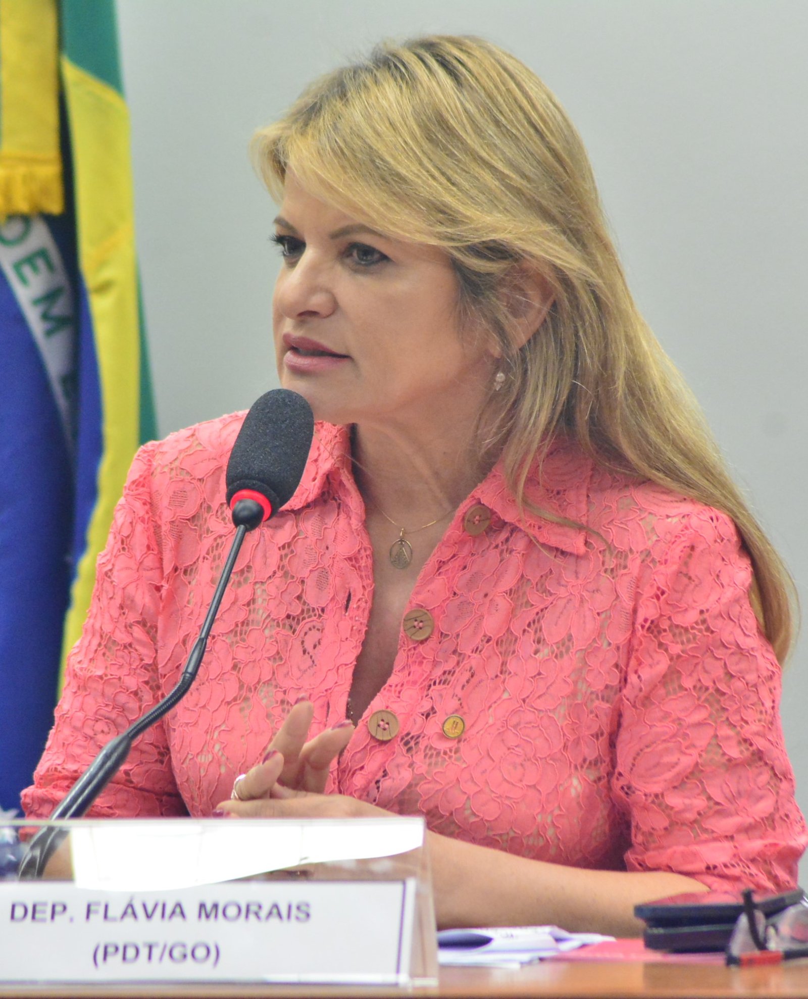 Deputada Flávia Morais (PDT-GO)