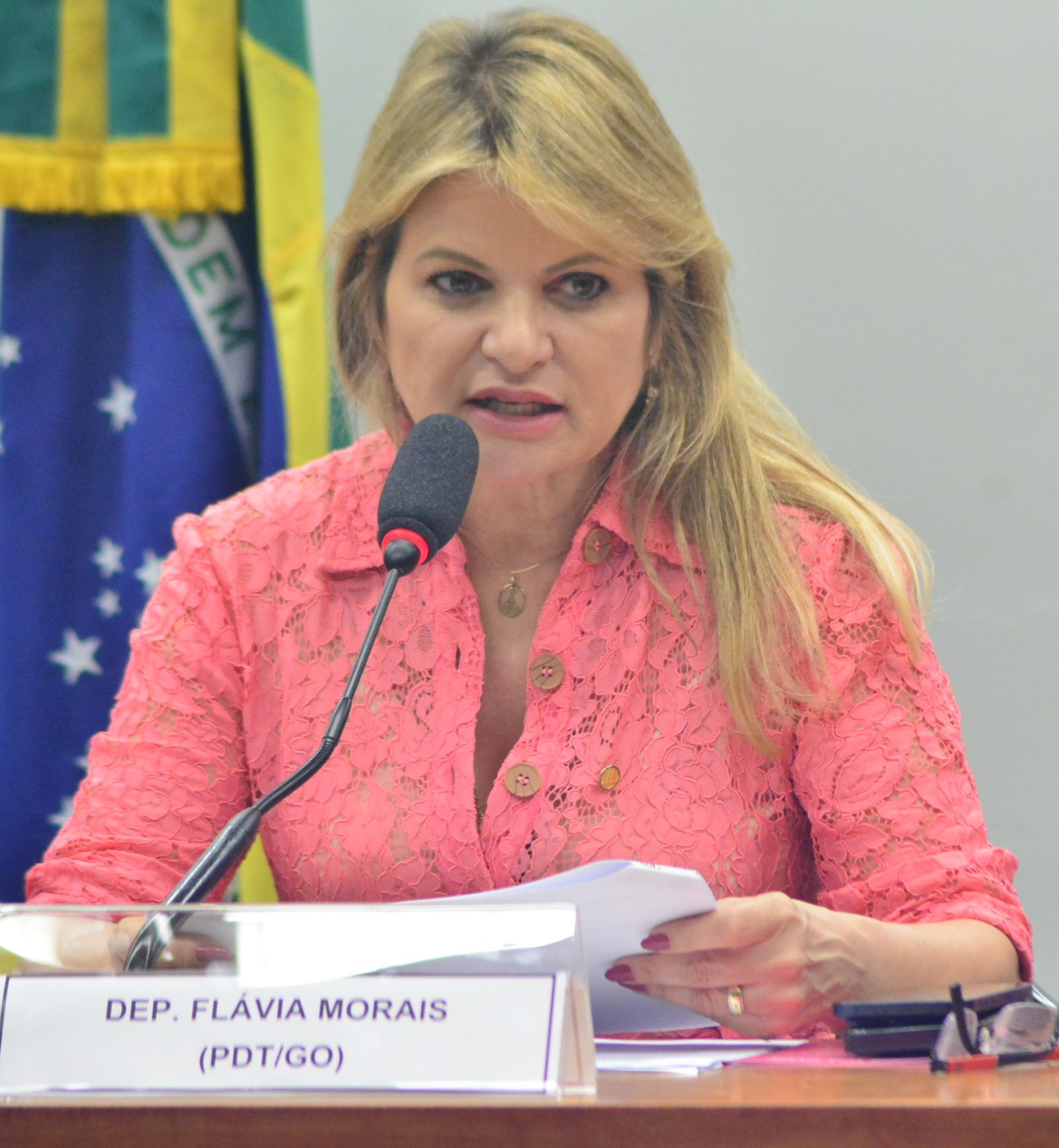 Deputada Flávia Morais (PDT-GO)