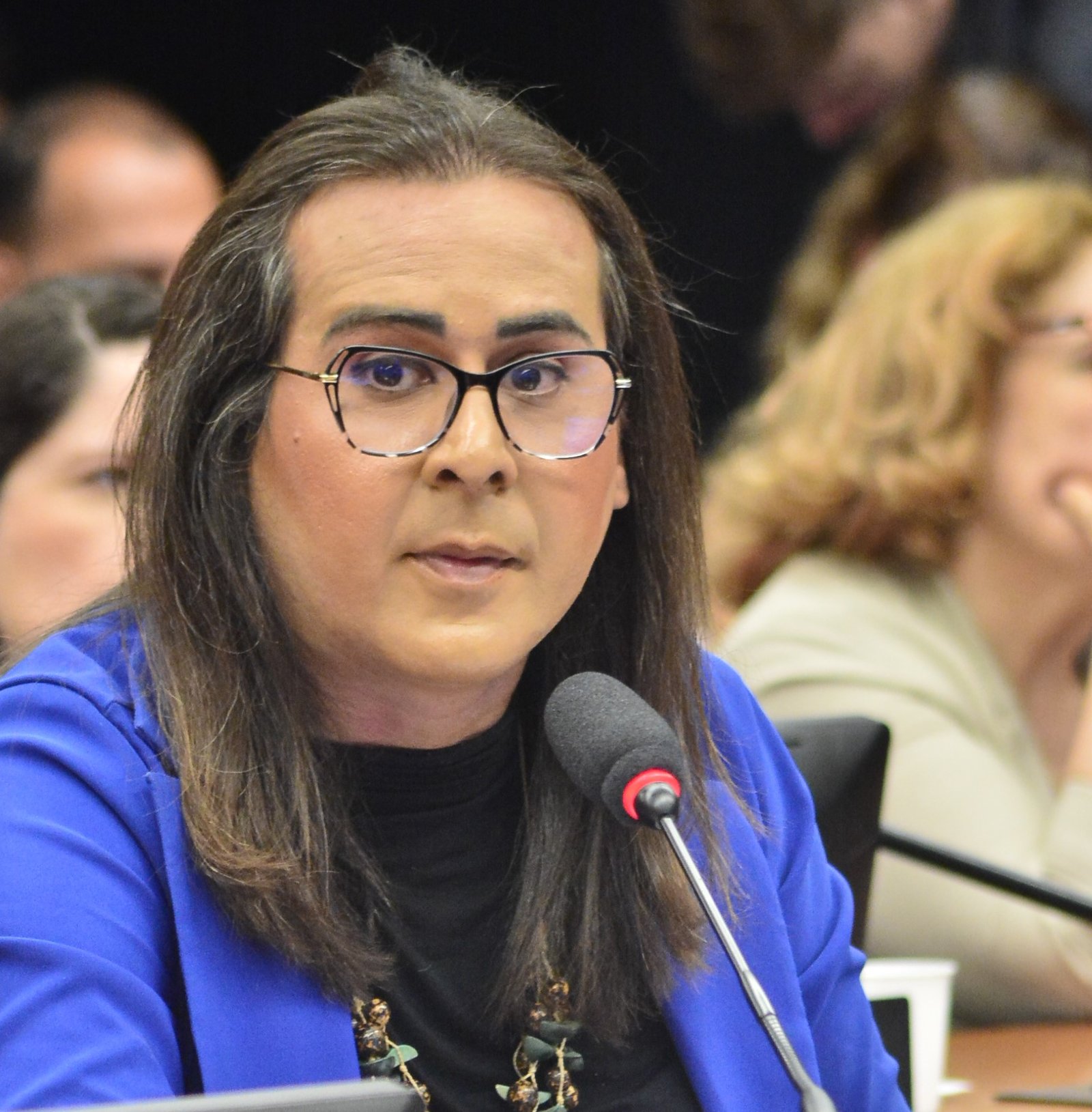 Deputada Duda Salabert (PDT-MG)