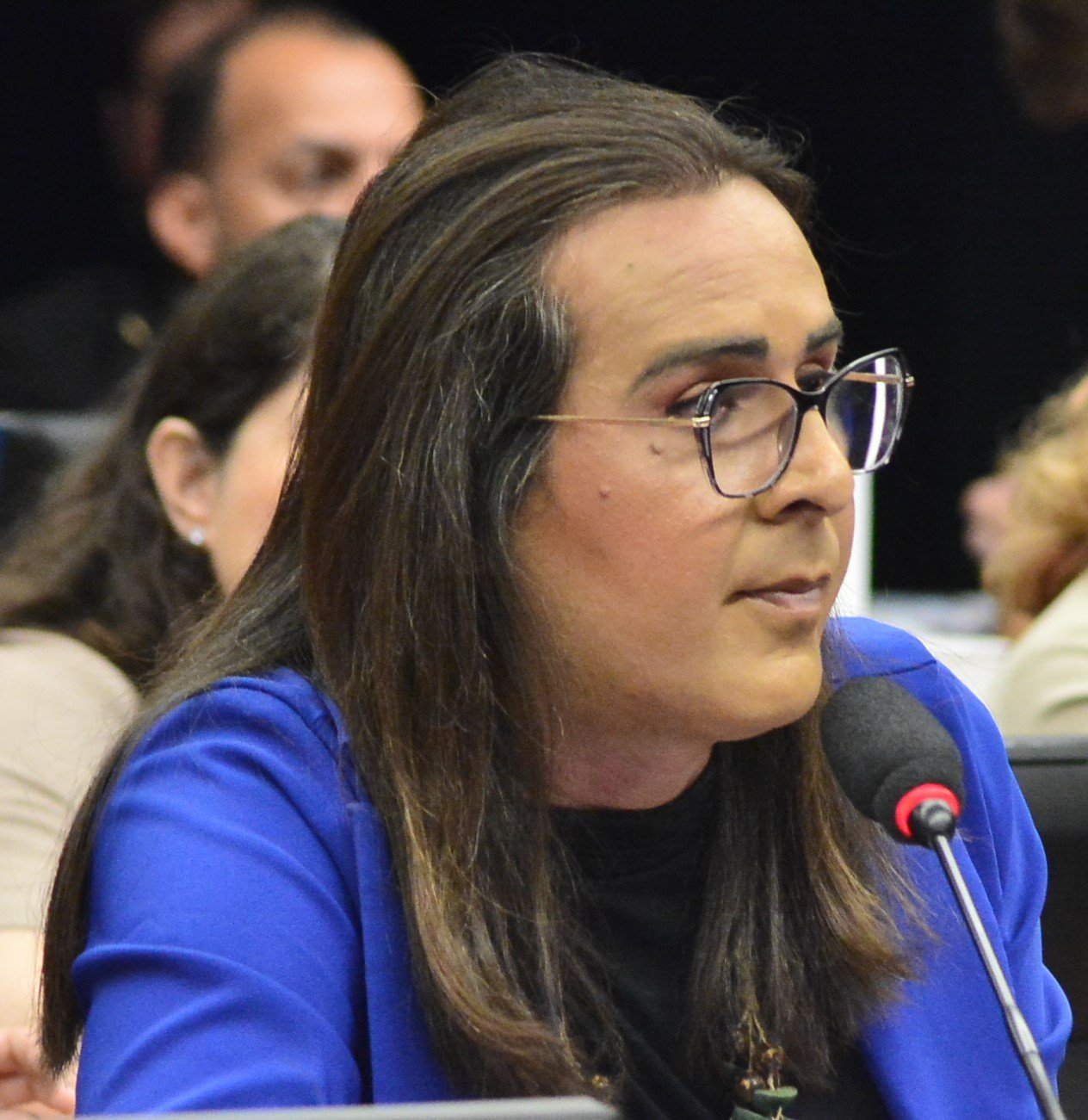 Deputada Duda Salabert (PDT-MG)