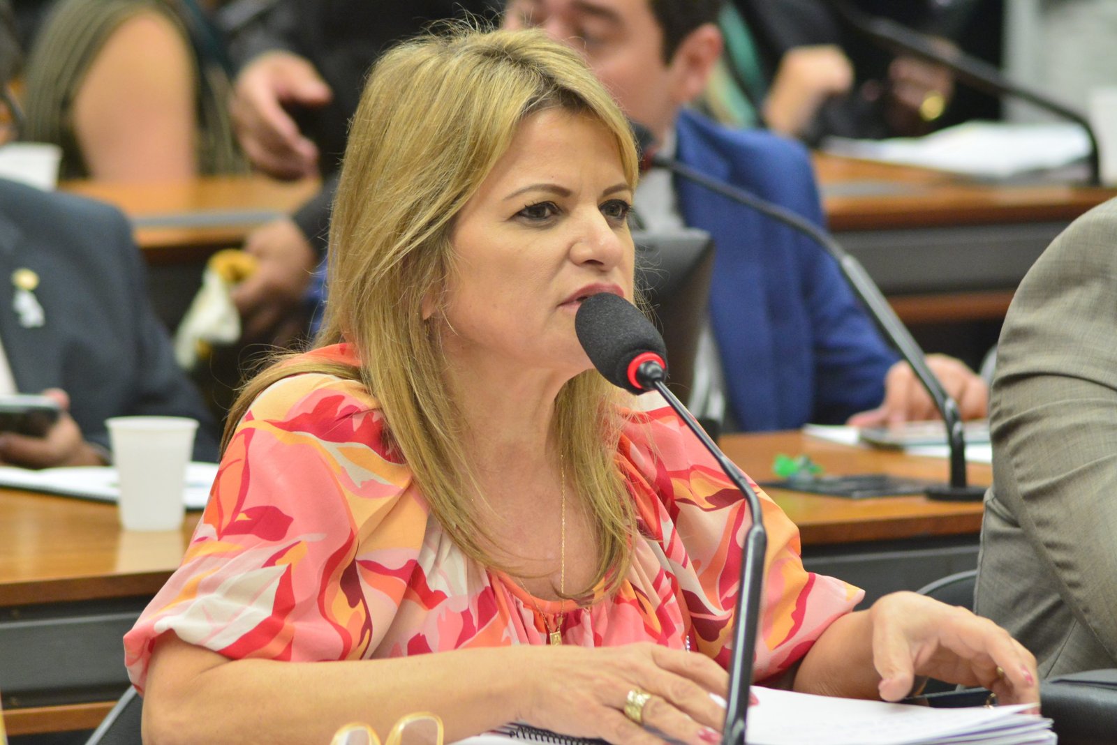 Parecer de Flávia Morais sobre maternidade atípica é aprovado na Comissão de Defesa e Direitos da Mulher