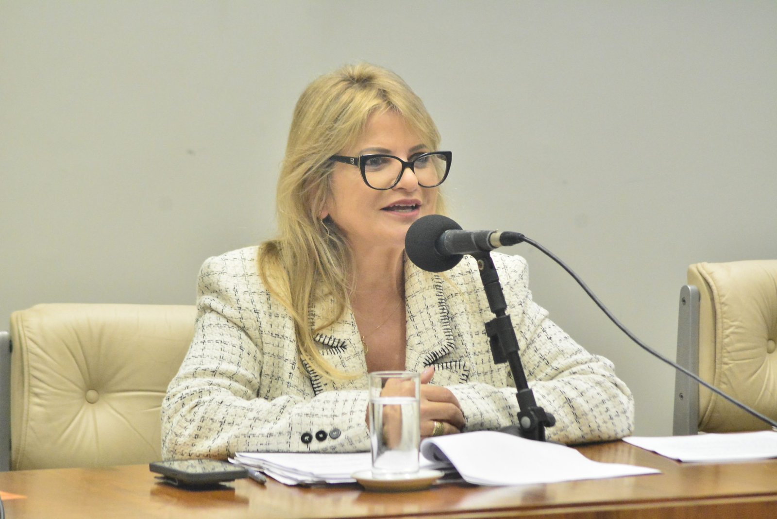 Câmara aprova redação final de projetos de Flávia Morais. Propostas vão ao Senado