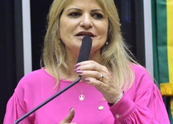 Deputada Flávia Morais (PDT-GO)