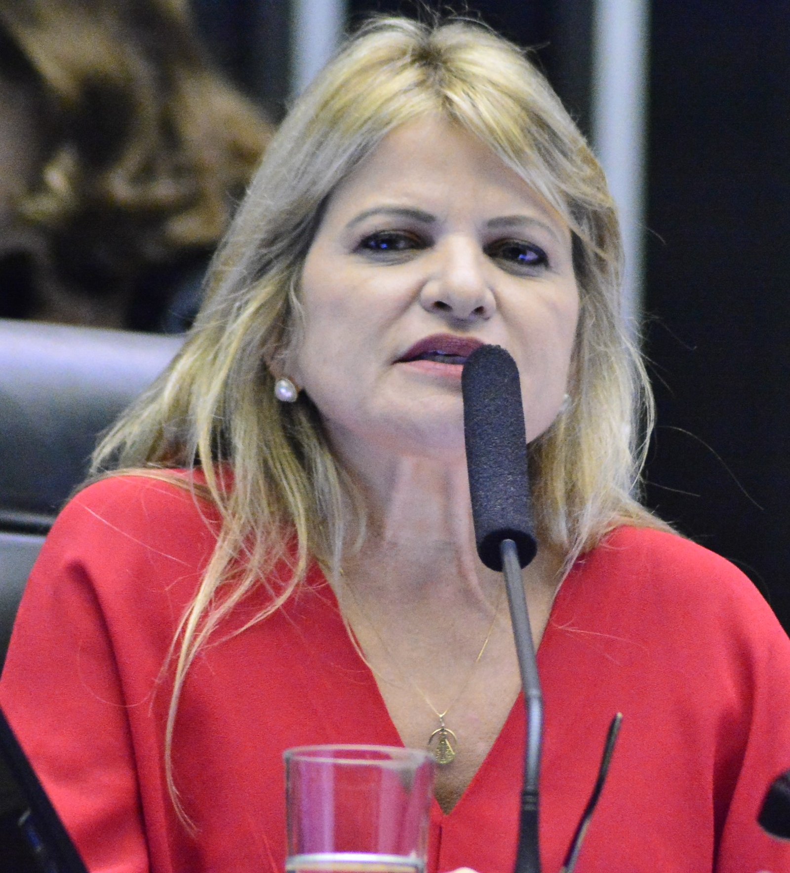 Deputada Flávia Morais (PDT-GO)