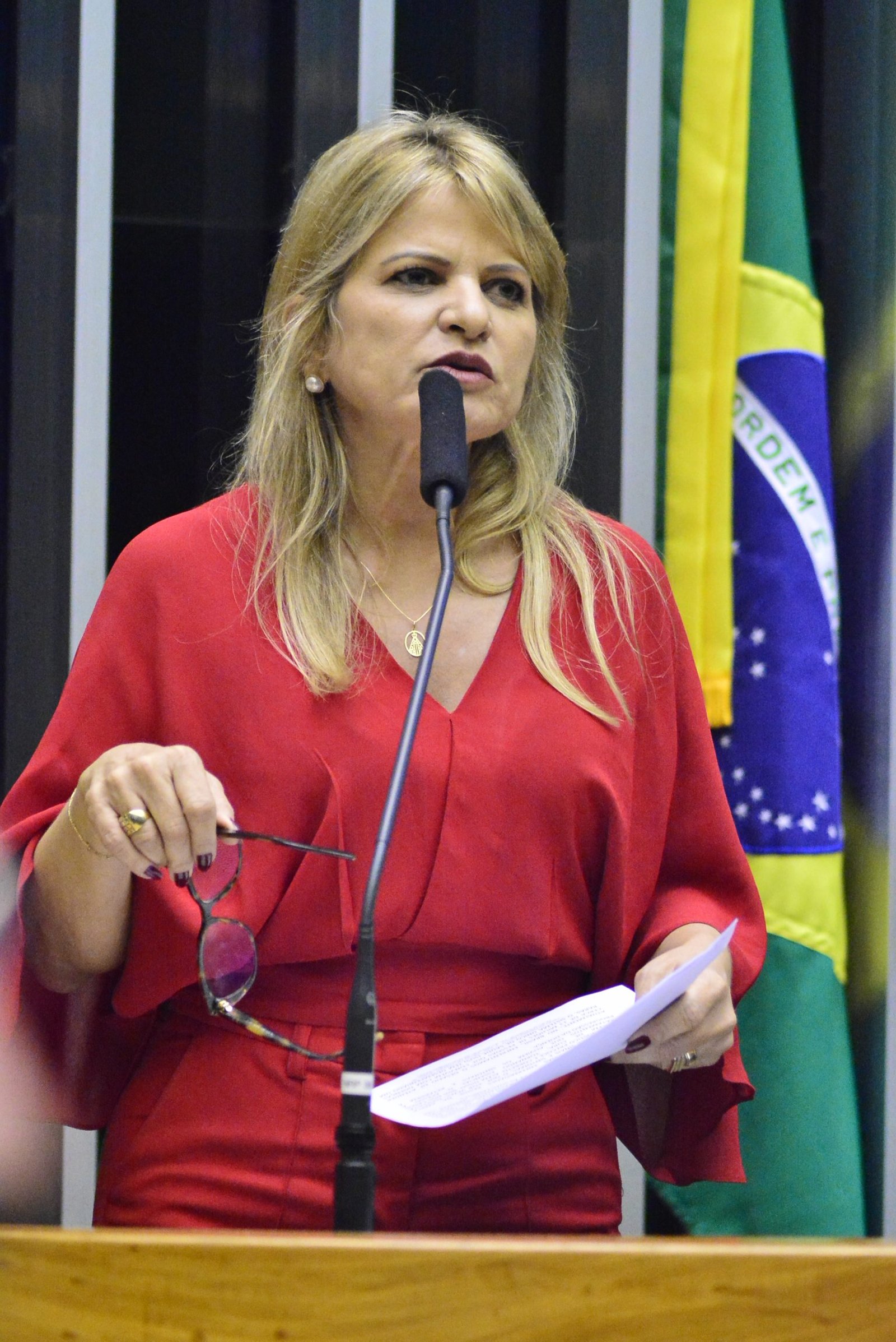 Deputada Flávia Morais (PDT-GO)