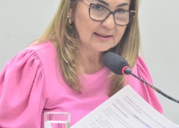 Deputada Professora Goreth (PDT-AP)