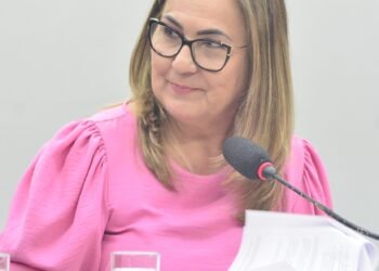 Deputada Professora Goreth (PDT-AP)