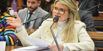 Flávia Morais e convidados debatem na Câmara riscos e vulnerabilidade de crianças e adolescentes na internet