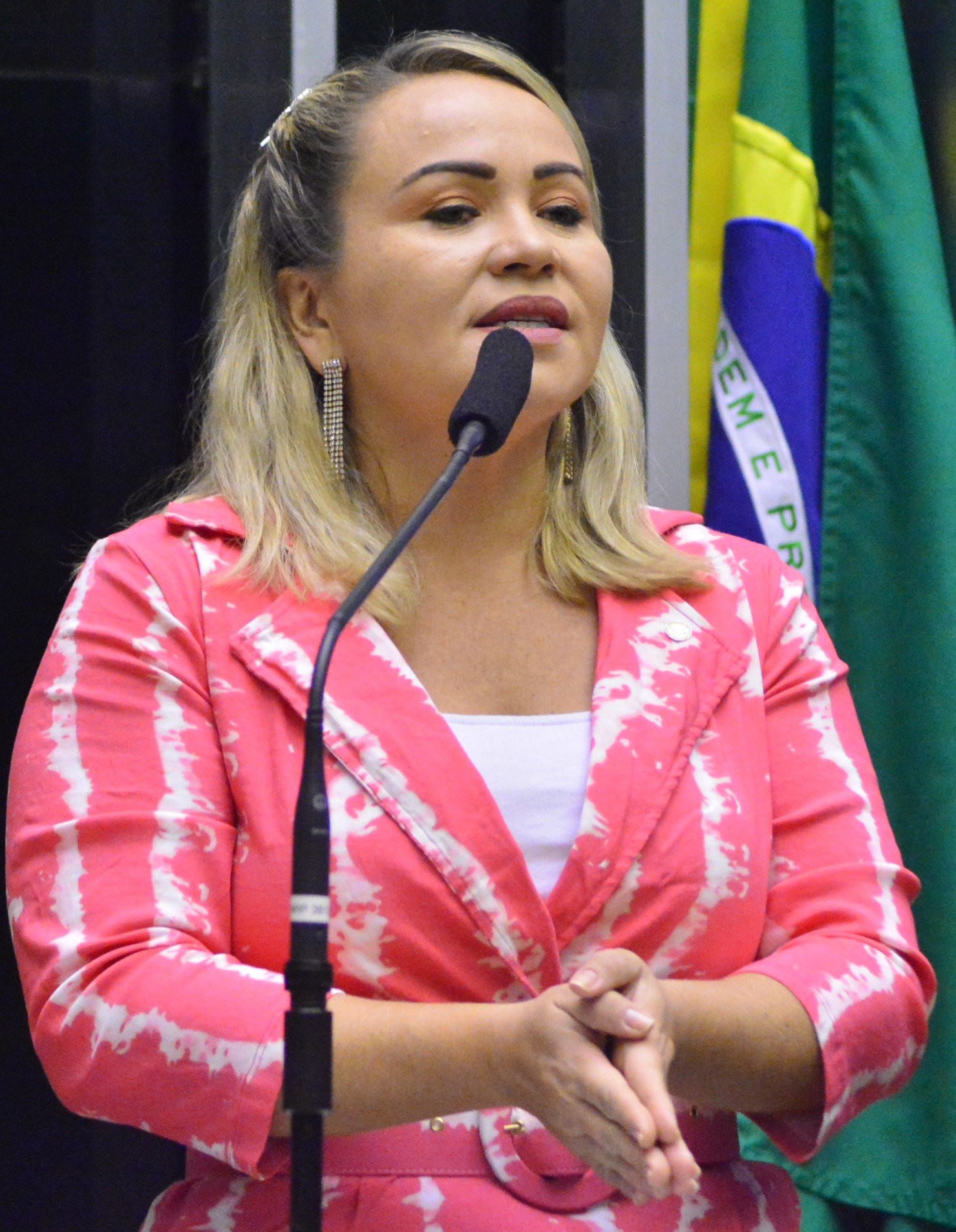 Deputada Enfermeira Ana Paula (PDT-CE)