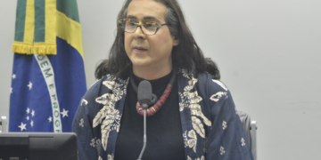 Comissão aprova parecer de Duda Salabert a projeto que proíbe condenados por crime ambiental de participar de licitação