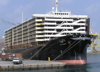 Aprovado parecer de Duda a projeto que tributa em 50% do imposto de exportação de animais vivos