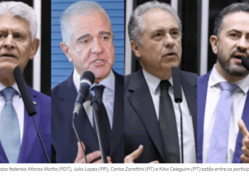 Afonso Motta e outros parlamentares debatem a indústria química brasileira