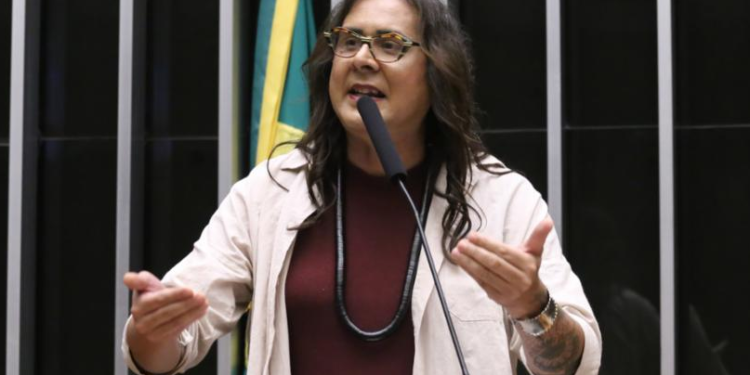 Aprovado projeto de Duda Salabert que inclui mudanças climáticas nos temas da educação ambiental