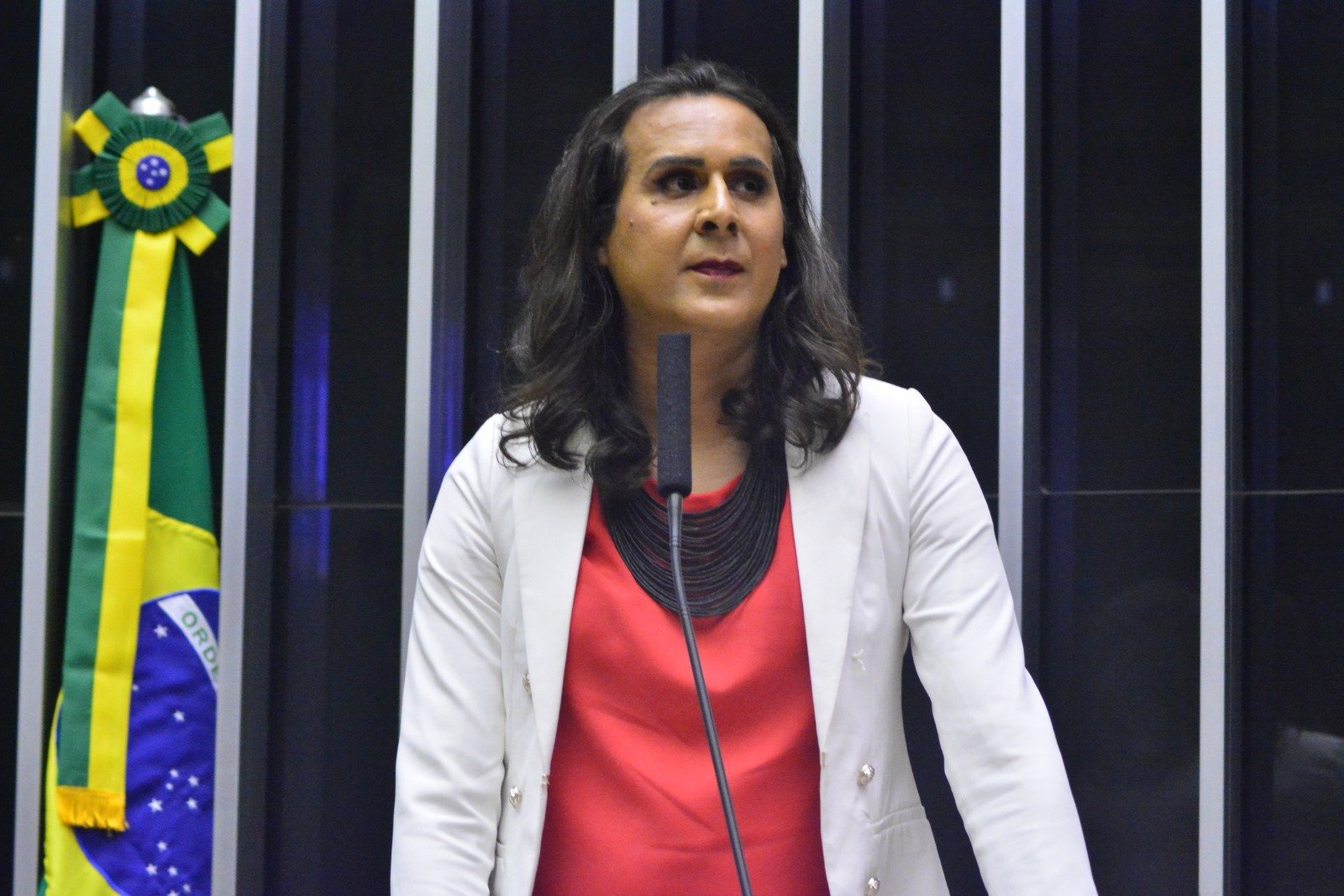 Salabert solicita ao ministro dos transportes informações sobre a composição do Contran