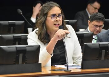 Duda Salabert provoca Ministério para regular transporte de bagagem de bebês em viagem rodoviária interestadual