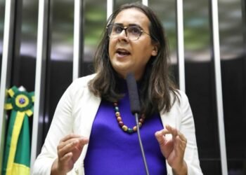 Duda Salabert propõe aumento de pena para autores de incêndios florestais