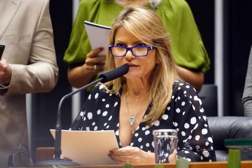 Senadores vão analisar projeto de Flávia Morais que cria a Semana da Saúde Mental Materna