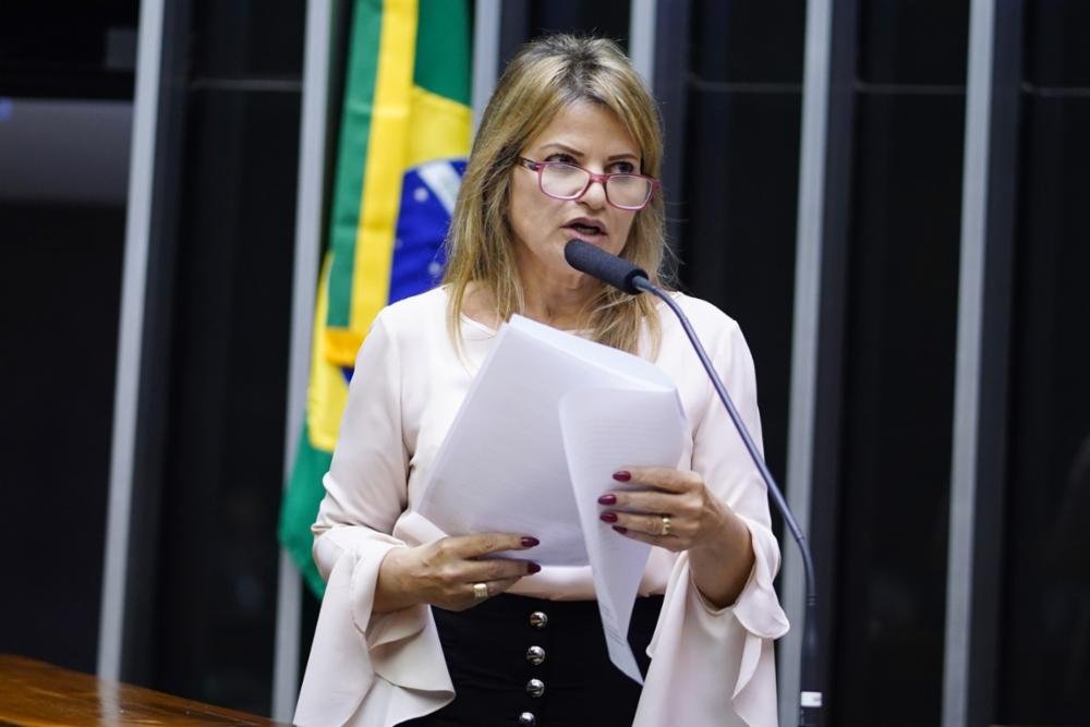 Aprovado parecer de Flávia Morais a projeto que regulamenta a atividade de parteira tradicional