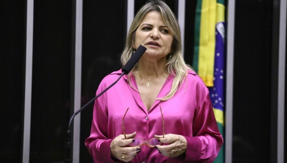 Aprovado relatório de Flávia Morais a projeto com medidas que incluem mulheres acima de 50 no mercado de trabalho