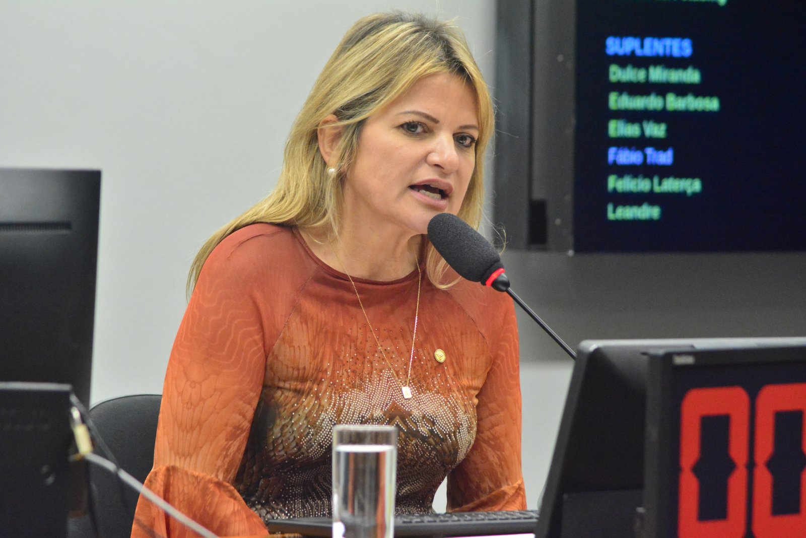 Flávia Morais apresenta plano de trabalho à comissão que analisa obras inacabadas e paralisadas no País