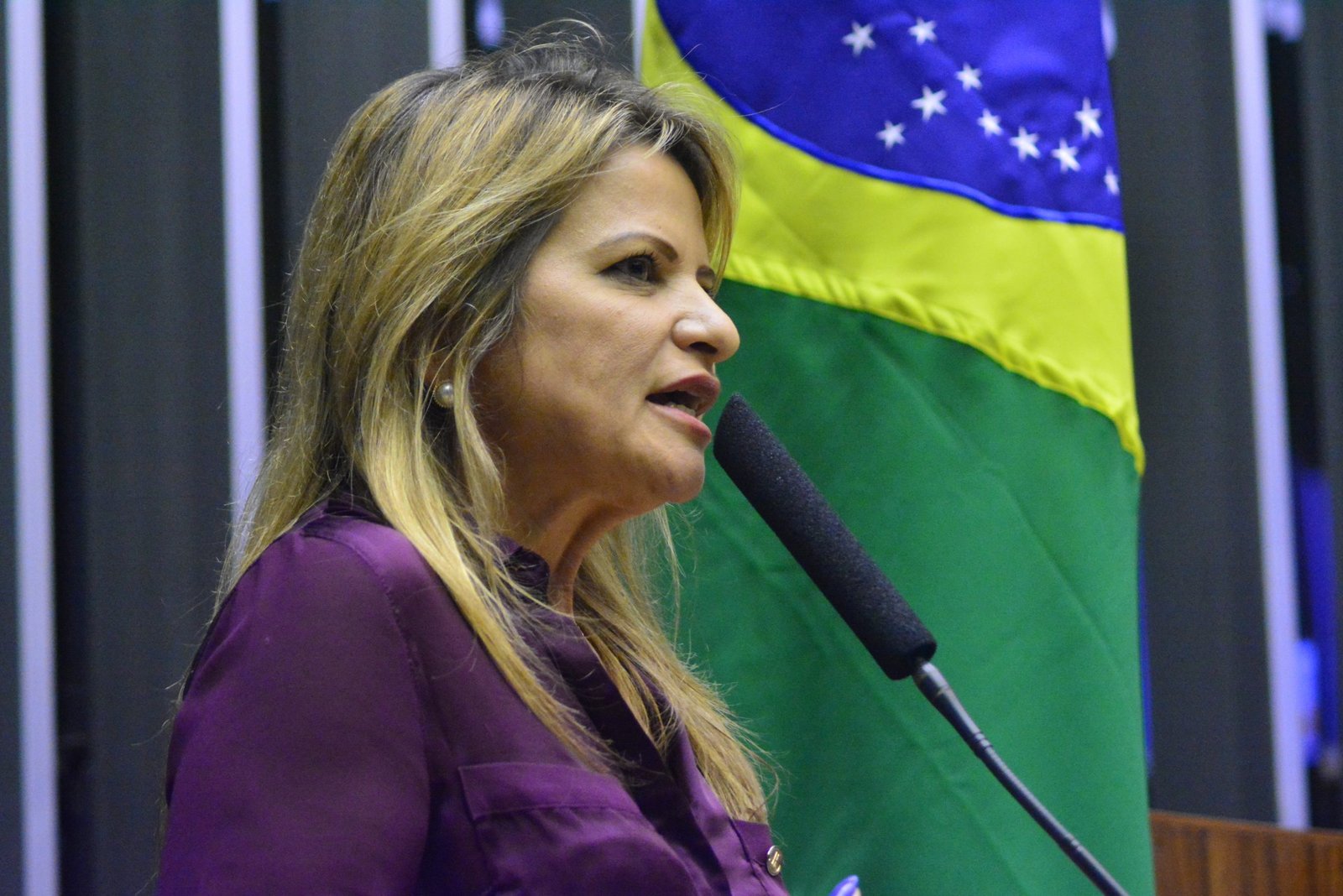 Senado vai analisar projeto de Flávia Morais que dá nome de Iris Rezende a um trecho da BR-153